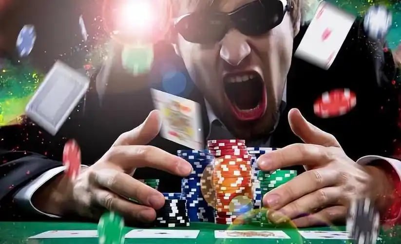 335bet