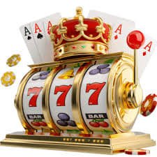 335bet